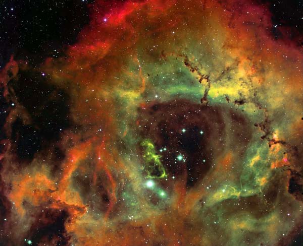 Die Rosette