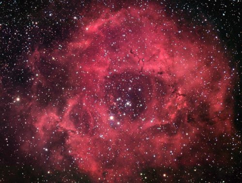 Die Rosette